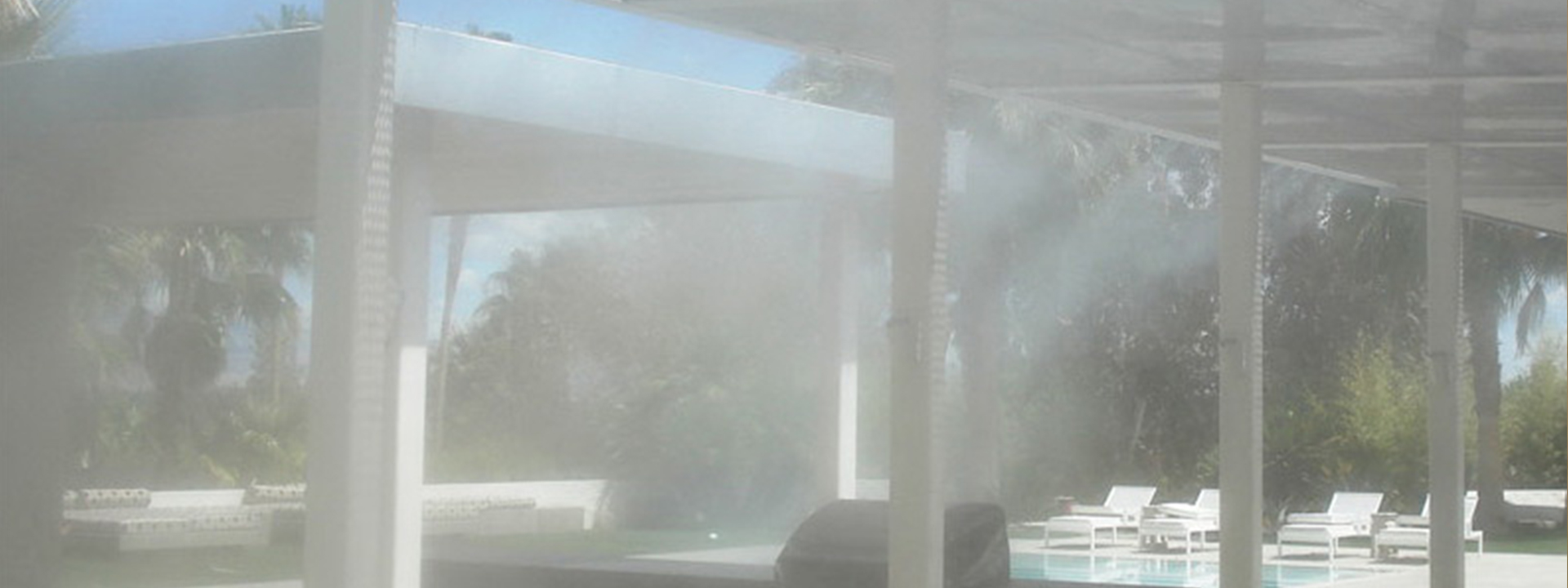 mist84
